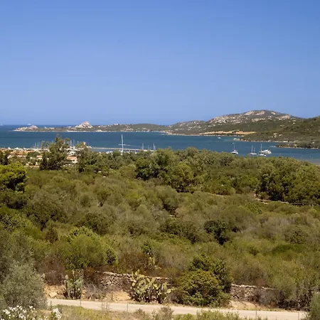 Amata Arzachena
